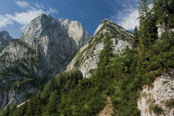 오스트리아에서 donnerkogel gosaukamm 산 — 스톡 사진