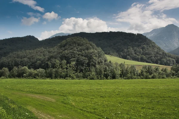 Горы с зеленой травой — стоковое фото