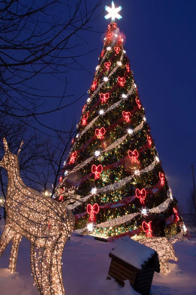 Kerstmis fir met decoraties — Stockfoto