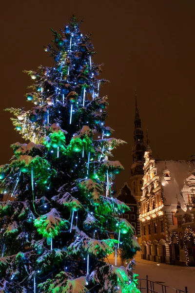 장식과 크리스마스 전나무 — 스톡 사진