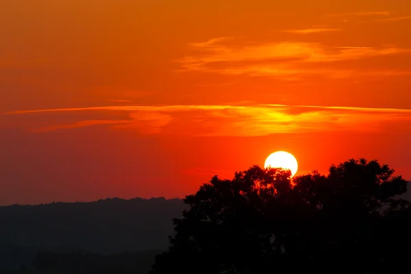 Západ slunce se stromy — Stockfoto