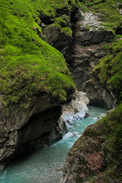 Canyon con fiume verde — Foto Stock