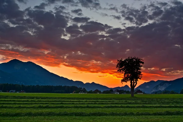Vista sul tramonto con nuvole sulle Alpi — Foto Stock