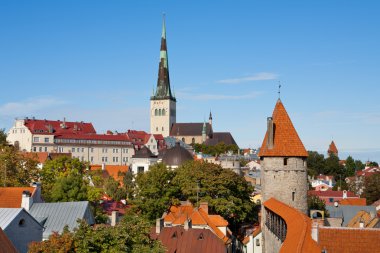 Tallinn. Estonia clipart