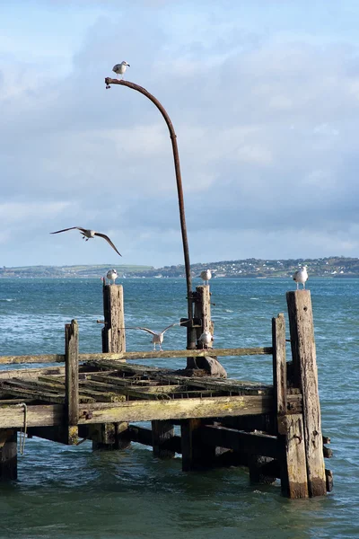 Stare molo. Cobh, Irlandia — Zdjęcie stockowe