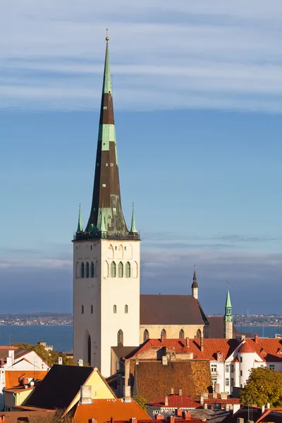 Eski bir kasaba. Tallinn, Estonya — Stok fotoğraf