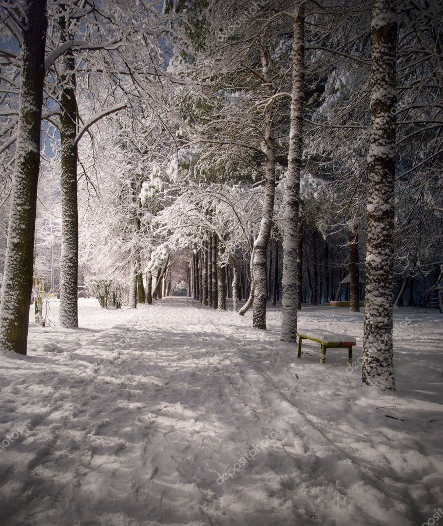 Winter night, Winter, Nature, Forest, Mountains, Trees, Snow, HD