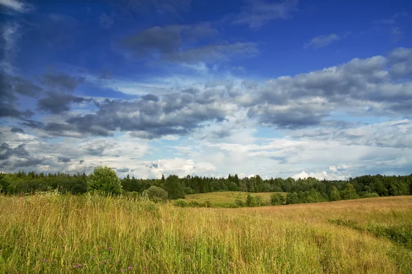 Dramatik gökyüzü manzara altında yeşil çayır — Stok fotoğraf