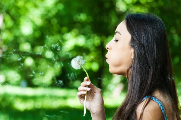 Young girl blowing dandelion — Stock Photo, Image