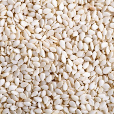 Sesame seeds (pine nuts) clipart