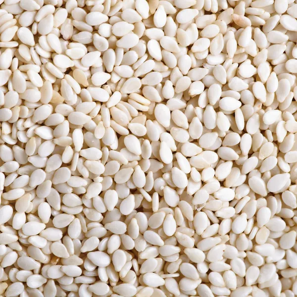 Sezamových semen (piniové oříšky) — Stock fotografie