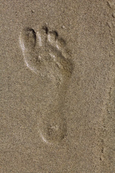 stock image Footprints in the sand