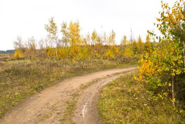 sonbahar ormanda kirli yol