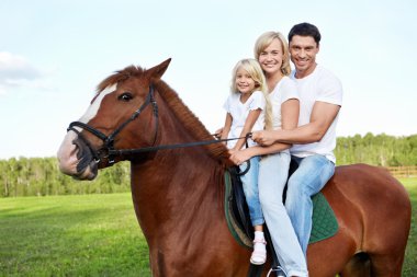 Horse-riding clipart