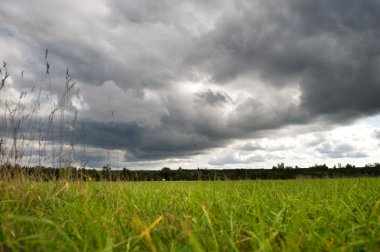 veld met dramatische stormy sky