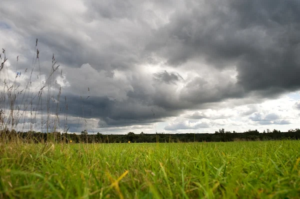 stock image Field with dramatic stormy sky