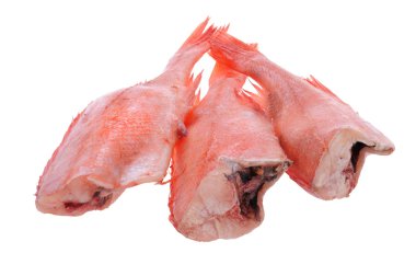 Red grouper on white clipart