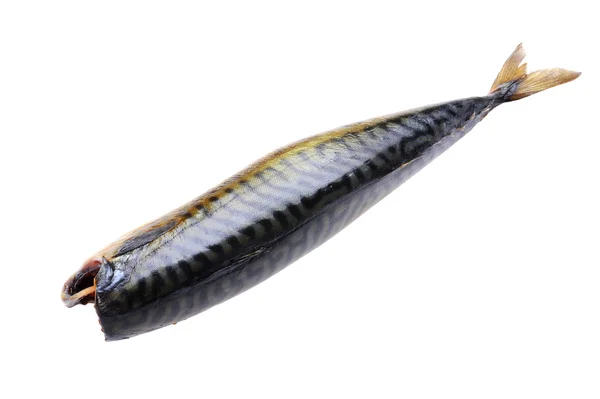 Smoked mackerel on white — Stock Photo, Image