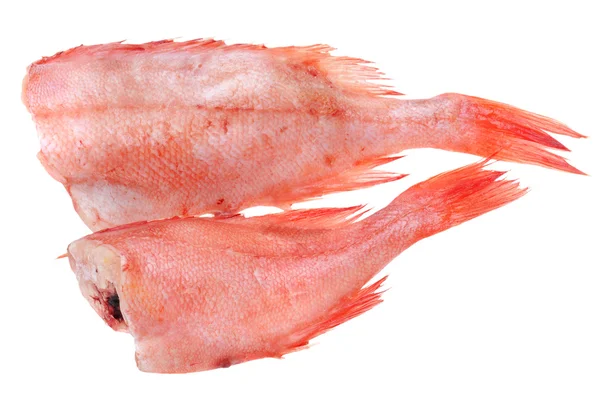 빨간 식용 물고기 — 스톡 사진