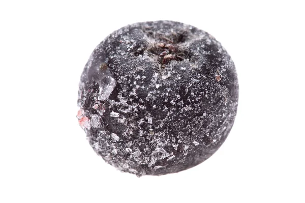 Chokeberry nel ghiaccio — Foto Stock