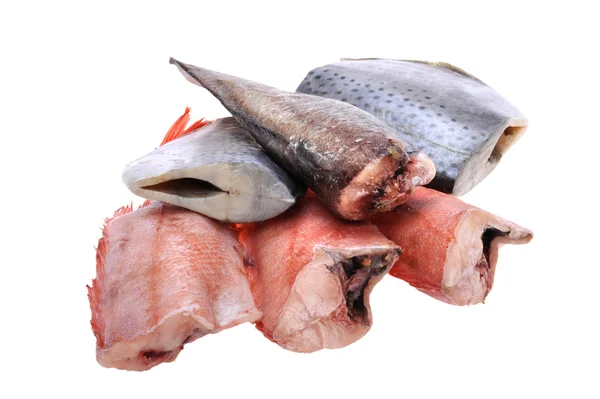 Čerstvé ryby izolované na bílém — Stock fotografie