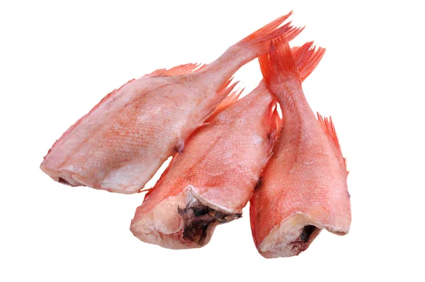 화이트에 빨간 식용 물고기 — 스톡 사진