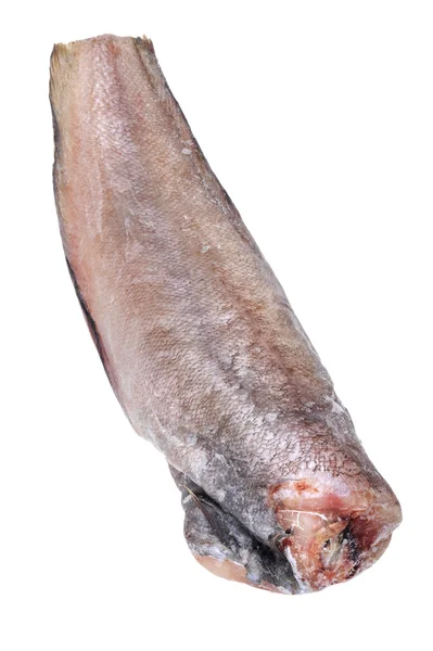 Сырая рыба на белом — стоковое фото