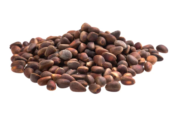 Cedar nut — Stock Photo, Image