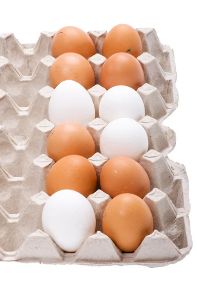 Ei auf Schachtel aus nächster Nähe — Stockfoto