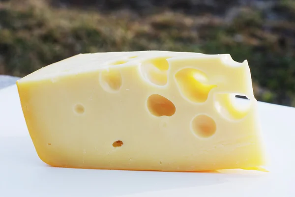 片带孔的瑞士奶酪 — 图库照片