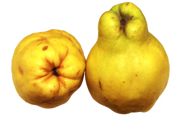 Fruta de membrillo sobre un fondo blanco —  Fotos de Stock