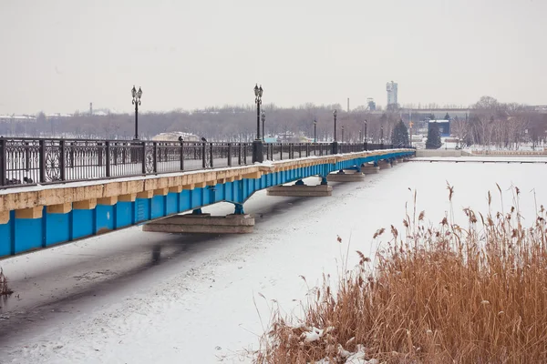 Vintern bridge i parken — Stockfoto
