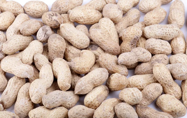 Groundnut background — Stock Photo, Image