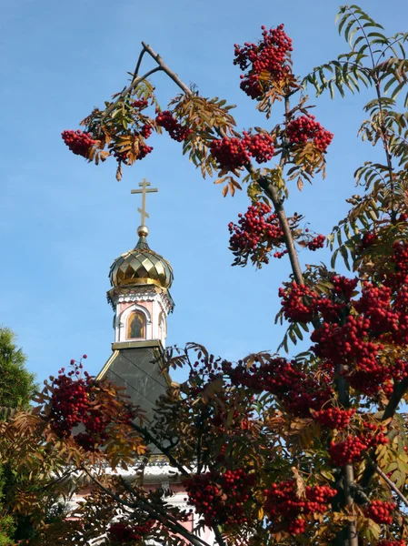 stock image Old wood temple bogorodskiy and asberry