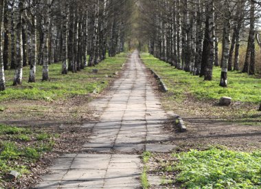 Şehir parkında bahar