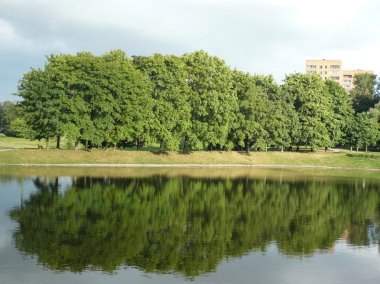 Şehir parkında yaz