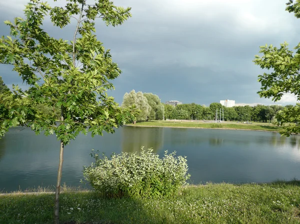 여름 도시 공원에서 — 스톡 사진