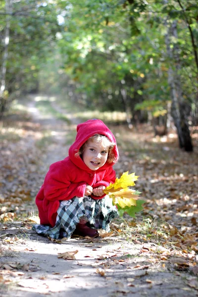 Jesienna dziewczyna — Zdjęcie stockowe