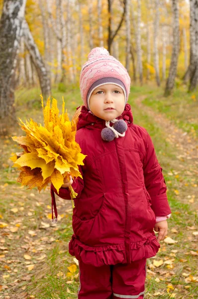 黄色の葉を持つ女の子 — ストック写真