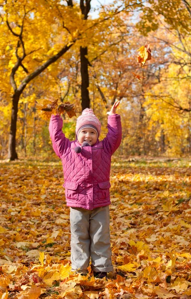 Klein meisje met gele bladeren — Stockfoto