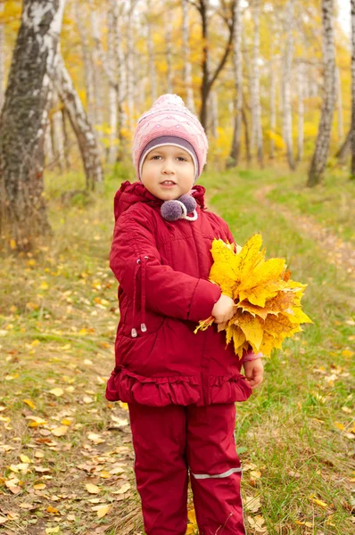 Klein meisje met gele bladeren — Stockfoto