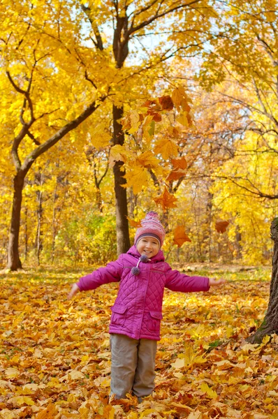 Little girl in autumn forest — Stock Photo, Image
