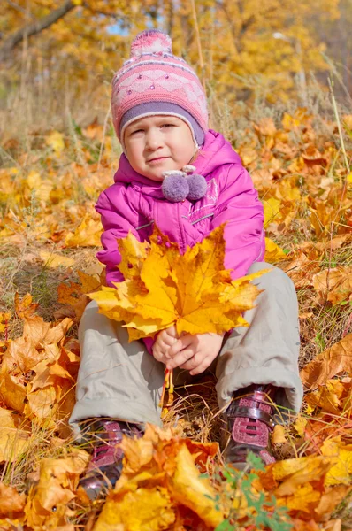 Dziewczynka w jesiennym lesie — Zdjęcie stockowe