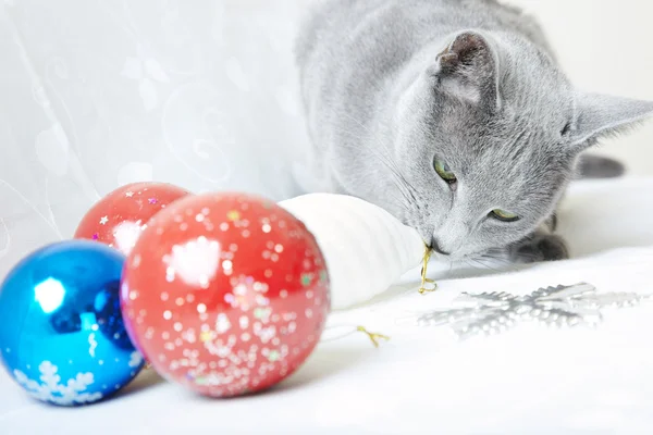 Katze mit Christbaumkugeln — Stockfoto