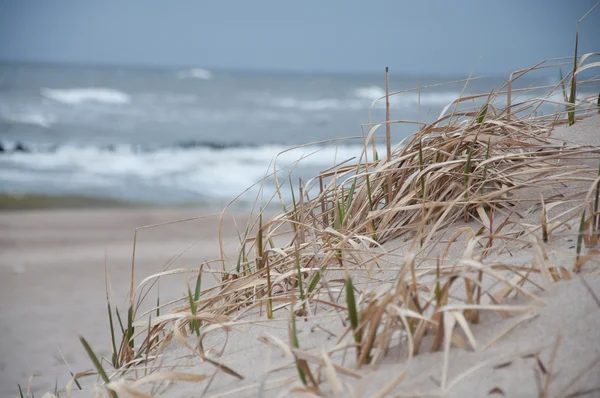 Sandy dune on the seashore — Stock Photo, Image