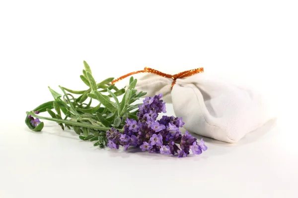 Lavender flowers with bag — Stock Photo, Image