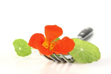 Nasturtium on a fork clipart