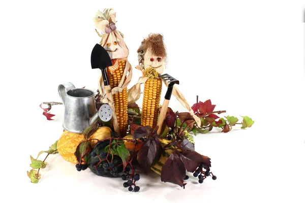 Colourful harvest festival — Stock Photo, Image