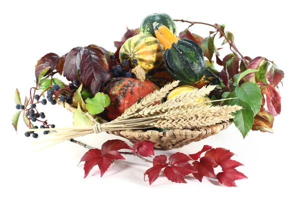 stock image Thanksgiving basket