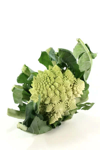 Romaanse broccoli — Stockfoto